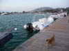 boat_2009 127